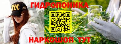 а пвп мука Новозыбков